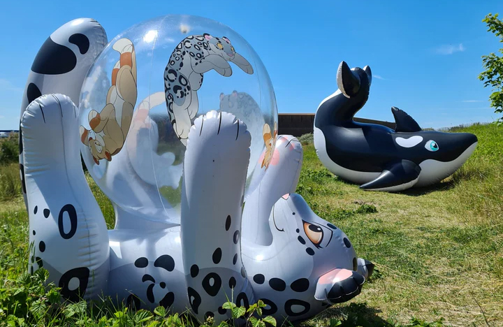 horseplay inflatables